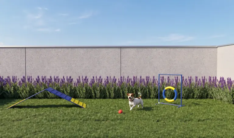 Perspectiva do Pet Place do Tech Zona Sul